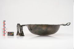 Foto von Bronzebreitrandschale (NHMW-PRAE-025246)